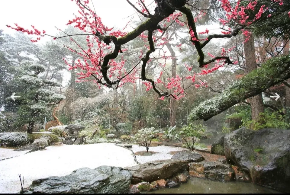 日本庭園|しんさん