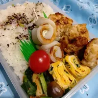 小松菜炒め胸肉バーグ弁当| yayoi.Kさん