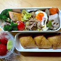 2025.1.7 お弁当| のりこ先生さん