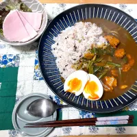 ほうれん草と鶏肉のカレー|ゆさんさん