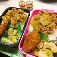 娘弁当､私弁当|みどりさん