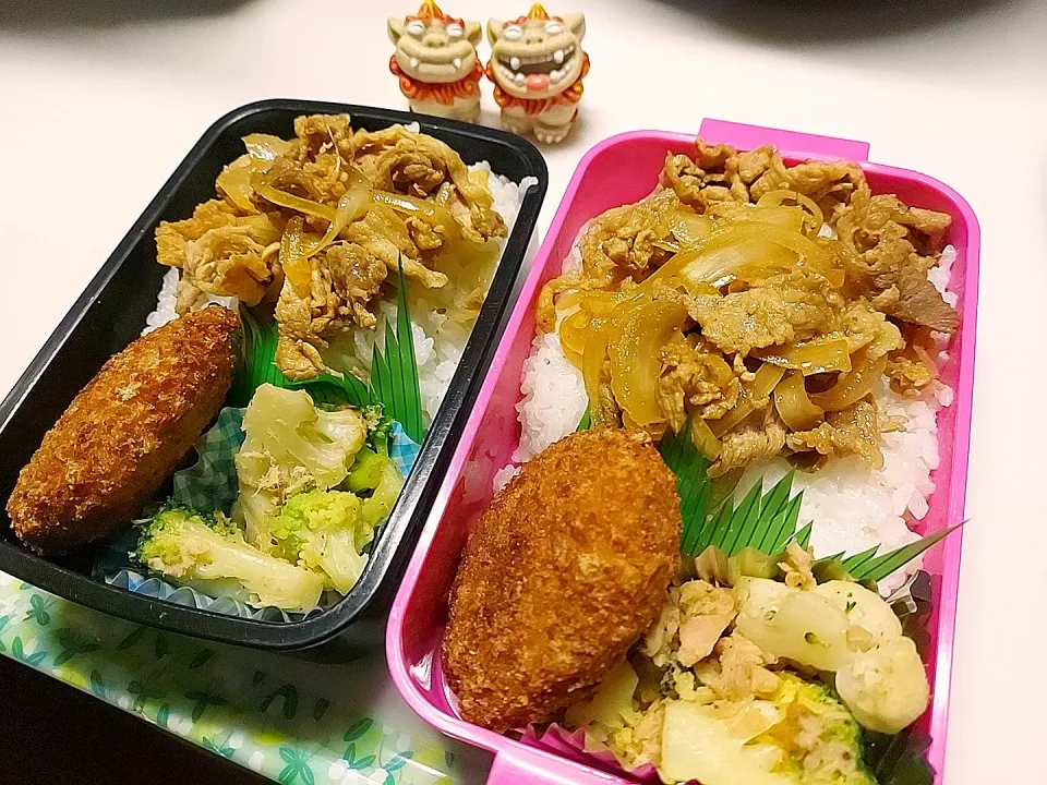 娘弁当､私弁当|みどりさん