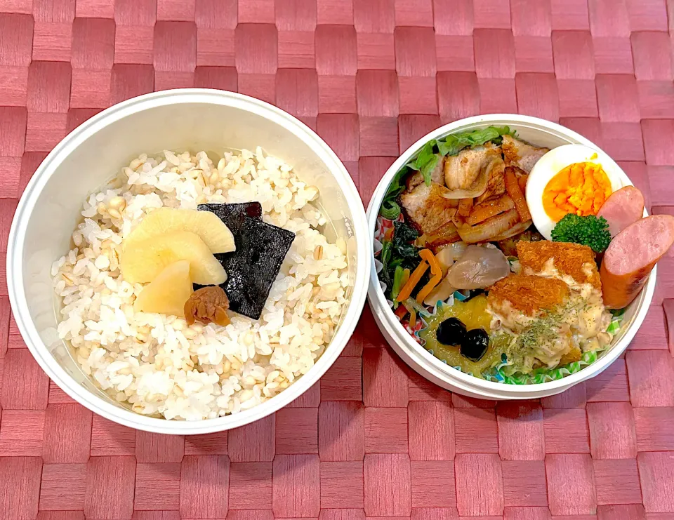 中学生息子のお弁当🍱 豚肉の甘酢焼きと白身魚のタルタルソース弁当🍱|Snow10さん