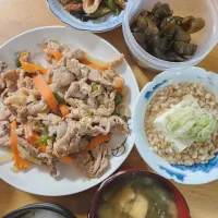 生姜焼き、揚出し風豆腐、油揚げと小松菜の味噌汁、ちくわとピーマンのきんぴら、きゅうりの漬物| さきさん