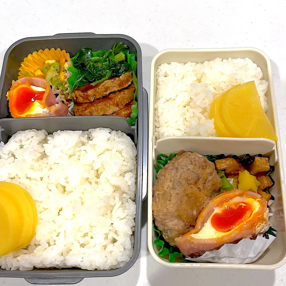 娘と息子のお弁当🍱|megさん