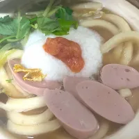 酒粕明太子とろろうどん|もーやんさん