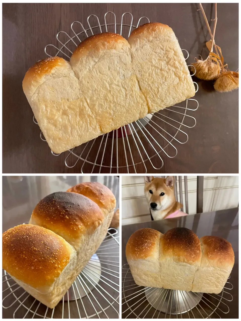 いつもの山食🍞|yucca@さん