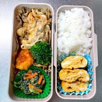 塩麹ロースカレー風味弁当|あおのりさん