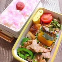 娘弁当🐷| まめころさん