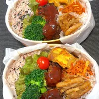 ハンバーグ弁当