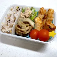 1/14 自分弁当|ゆさん