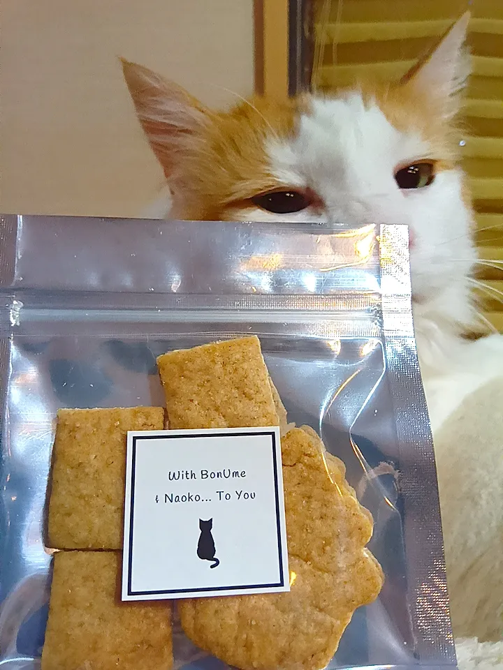 全粒粉クッキー😻|さくらんぼさん