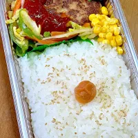 ハンバーグ弁当| ichiさん