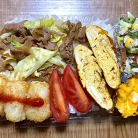 豚肉キャベツ弁当| 望さん