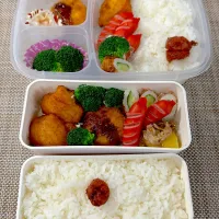 旦那さん、娘弁当。