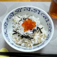 釜揚げしらす丼|morimi32さん