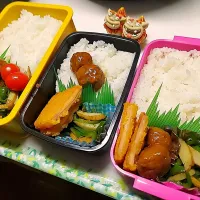 夫弁当､娘弁当､私弁当| みどりさん