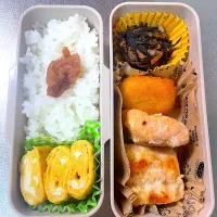 しゃけマヨ弁当|あおのりさん