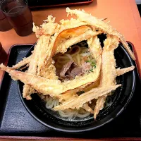 博多　大地のうどん　肉ごぼう天うどん