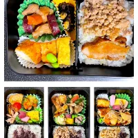 今週のお弁当　鶏づくし弁当|パパ手料理さん