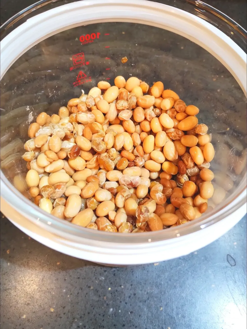 Homemade Natto　手作り納豆|Reiko Momさん