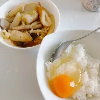 お昼ご飯|まめさん