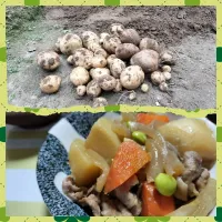 🥔初収穫のじゃが芋で肉じゃが🥔|みよぱさん