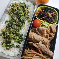 ☆高校生弁当☆大根葉とシラスのふりかけごはん、ひじき煮物、キャベツ、ミニトマト、生姜焼き、金平牛蒡、みかん|ｼｮｺﾗさん