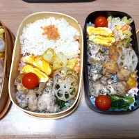 鶏ささみごまやき弁当🍱|ふみふみさん