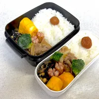 2025年1月20日お弁当🍱|もぐぷーさん