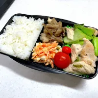 1/20 旦那弁当⁂鶏胸肉と青梗菜の塩炒め弁当|ゆさん