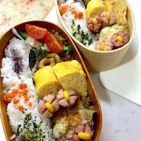 親子弁当🍙|ピヨまるさん