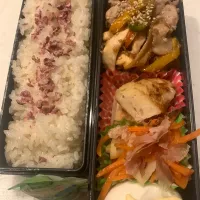 1/22 高校生息子のお弁当|ちととんさん