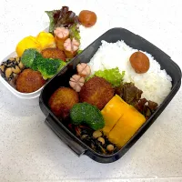 2025年1月22日お弁当🍱|もぐぷーさん