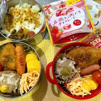 今日のヤツのお弁当（R7.1.22）|え〜かさん