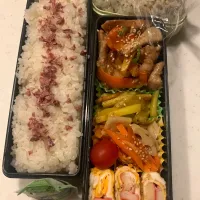 1/23 高校生息子のお弁当|ちととんさん