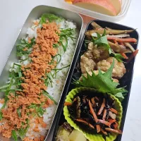 ☆高校生弁当☆もち麦入りごはん、鮭と大葉、金平牛蒡、唐揚げ、ひじき煮物、薩摩芋サラダ、りんご、マンダリン|ｼｮｺﾗさん