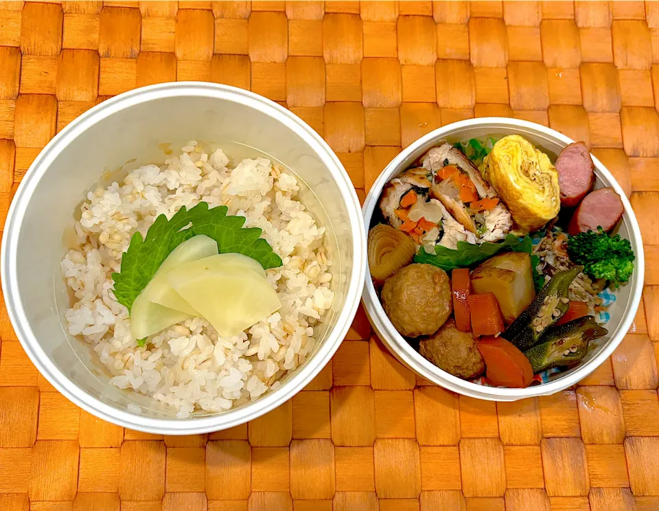 中学生息子のお弁当🍱ササミチーズ野菜とミートボール弁当🍱|Snow10さん