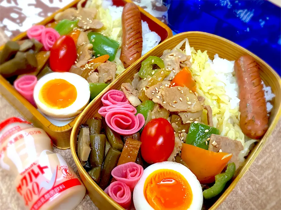 今日の夫婦弁⁽⁽ ◟(灬 ˊωˋ 灬)◞ ⁾⁾💕|桃実さん