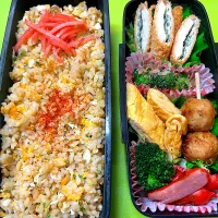 高1息子のお弁当🌈1/23（木）|KCoさん