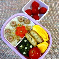 (1/23) 年少さんのお弁当|Kahoさん