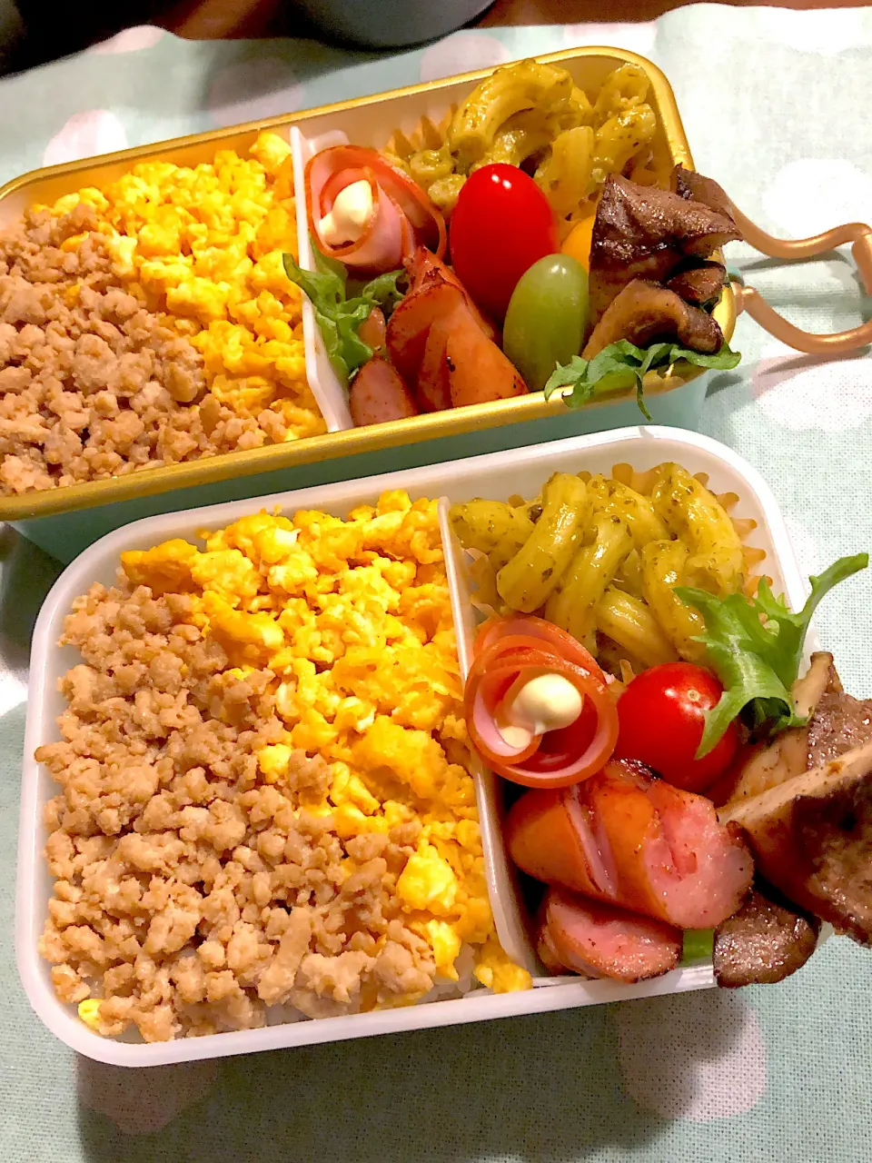 2025.1.24  ＊今日のお弁当＊鶏そぼろ丼♪|rinrin*mama*さん