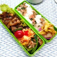 鶏と玉ねぎの中華味噌煮弁当|Reikoさん