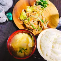 ごはん、豆苗と高野豆腐のかき玉汁、鶏と野菜の味噌炒め、もやしとキュウリのナムル|サトリさん