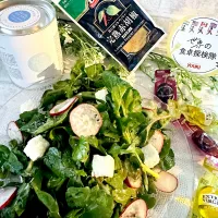 ルッコラとラディッシュのホリアティキサラタ 田舎風ギリシャサラダ🥗|🌺🌺Foodie🌺🌺さん