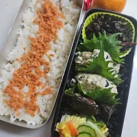 ☆高校生弁当☆もち麦入りごはん、鮭、ひじき煮物、豆腐ハンバーグ、茄子ピリ辛、浅漬け、みかん、ビスコ|ｼｮｺﾗさん