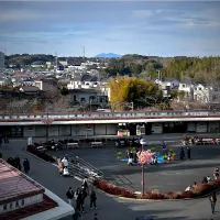 遠くに筑波山@成田山の奥山広場|友紀さん