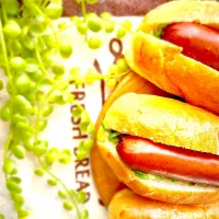 🌭ホットドッグ🌭| U・x・Uchokoさん