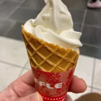 新潟 佐渡乳業 カマンベールソフト🍦|Kojiさん