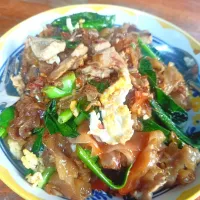 Stir-fried Rice Noodles w/ Soy Sauce & Pork
(ผัดซีอิ๊วหมู) aka Pad See Ew 🤤| An'leeさん